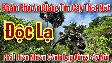 Khám phá An Giang Phát hiện Cây Thốt Nốt Độc Lạ Nhất Vùng Bảy Núi Vietnamese Street Food