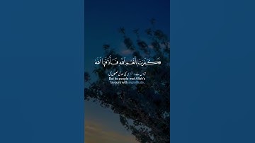 تلاوة خاشعة من سورة النحل / Abdel Rahman Musad@