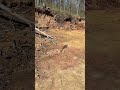 Why don't I use the rocks? #narrowayhomestead #offgrid #rock #sandstone #construction #sand