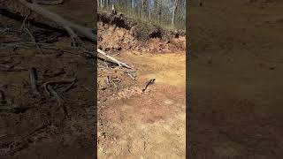 Why don't I use the rocks? #narrowayhomestead #offgrid #rock #sandstone #construction #sand