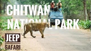 Chitwan National Park - Jeep Safari, A Complete Tour Guide || Encounter with Tiger || Nepal