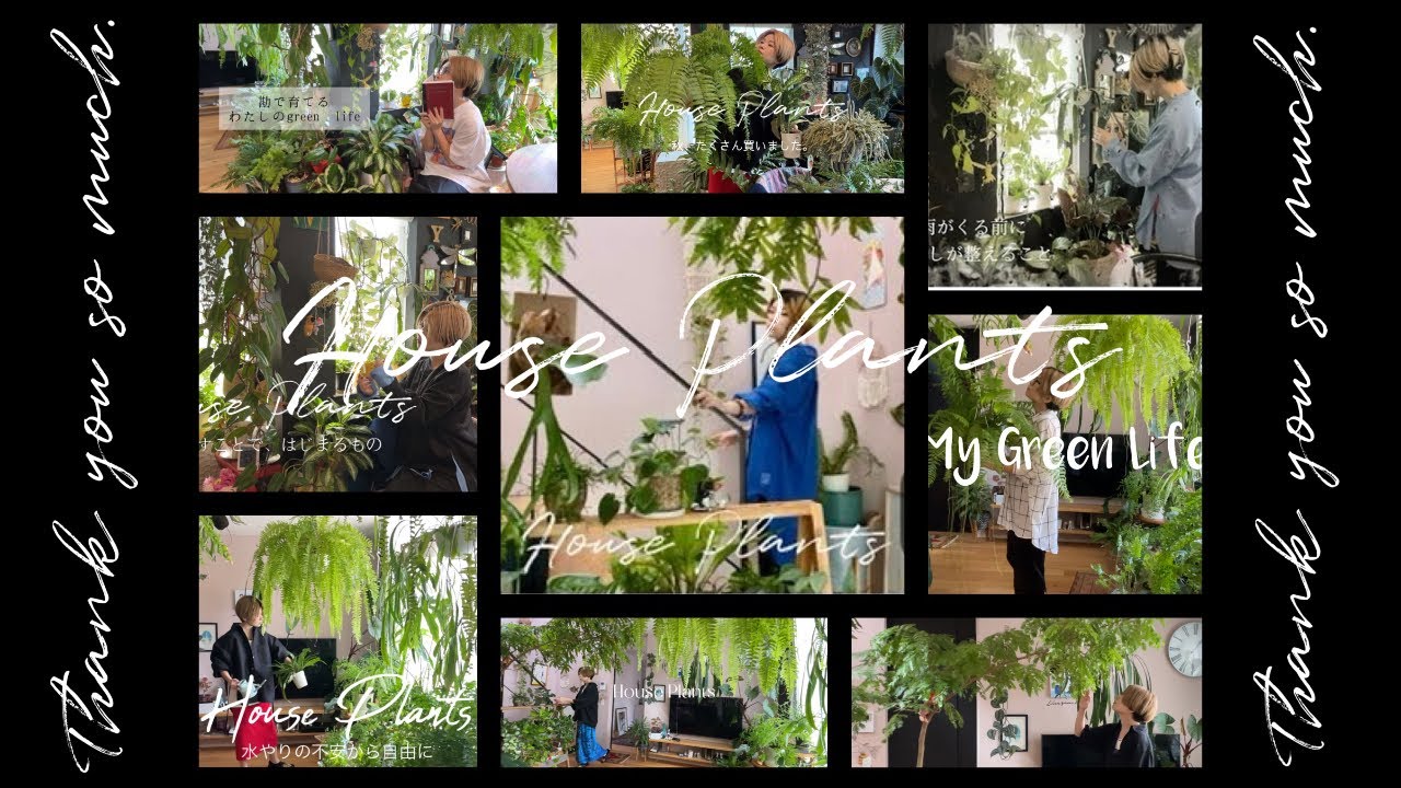 根を張る一年。2025年もありがとうございました。｜観葉植物｜植物のある暮らし｜ガーデニング