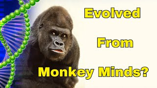 Does Evolution Undermine Reason  -  Dr John Ashton