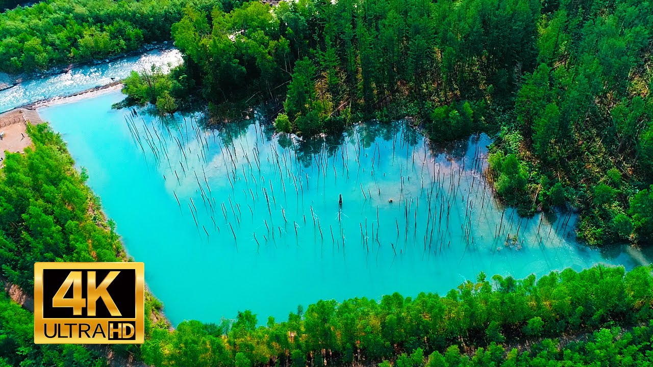 北海道的絶景 青い池