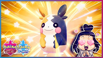 MY FIRST SHINY IN SWSH, SHINY MORPEKO MASUDA METHOD( LIVE REACTION) 🎀🍬✨- POKEMON  SWSH