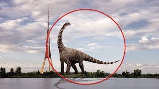 7 DINOSAURIOS CAPTADOS EN CÁMARA Y VISTOS EN LA VIDA REAL (PARTE DOS)