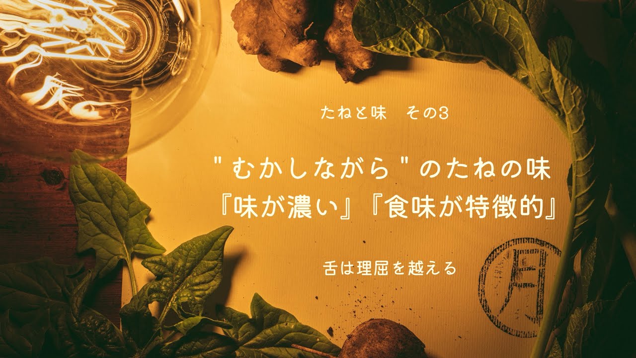 【味が濃い】たねと味3   