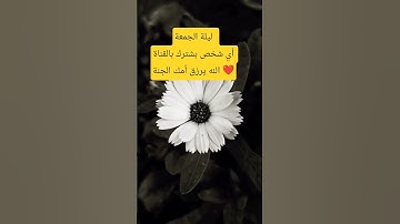 #اللهم_صل_وسلم_على_نبينا_محمد #القارئ #رسول_الله #اكسبلور #يارب #حكمة_اليوم #الله #ترند #تيك_توك