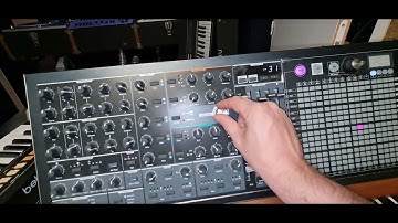 Jam on Polysix, Tb303, Tr909, Matrixbrute.