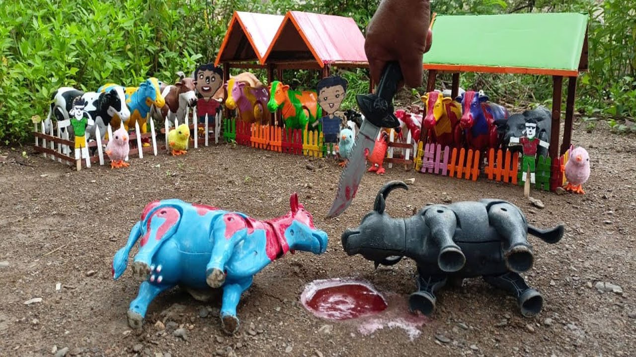 WADIDAU‼️PROSES POTONG SAPI KURBAN  PROSES MELAHIRKAN CESAR SAPI & DOMBA  Cow Videos