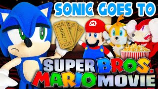 Sonic Goes to the Super Mario Bros. Movie!  Sonic and Friends