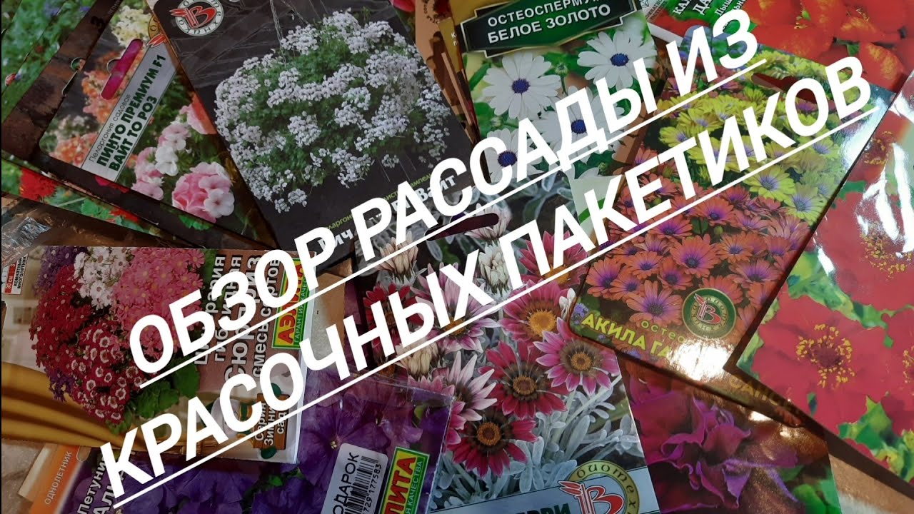254#16.02.26//Что выбрала и посадила//Рассада из красочных пакетиков//☘️🍀☘️