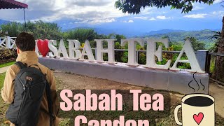 Sabah Tea Garden