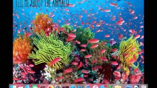 The Great Barrier Reef Virtual Field Trip