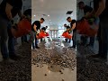 Clear Epoxy Over River Stones – Ultra-Gloss Commercial Floor Design #epoxy #resinart