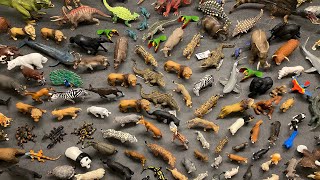 Huge Schleich Dino and Animal Collection