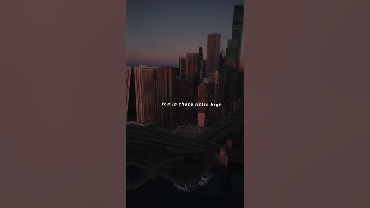 After dark x Sweater Weather - Mr. Kitty & The Neighbourhood [lyrics edit] #lyrics #shorts #d1by4