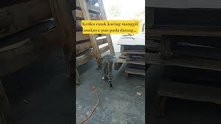 Download Lagu nak sini nak... MP3