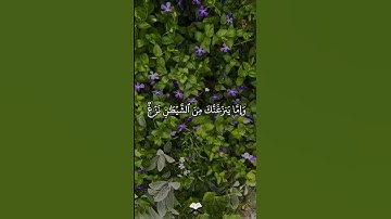 وَمَا يُلَقَّىٰهَآ إِلَّا ٱلَّذِينَ صَبَرُواْ القارئ أدهم النابلسي #المصحف #ﷺ #الرحمن #اكسبلور