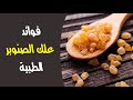 ما أهم فوائد علك الصنوبر الطبية ما أهم فوائد علك الصنوبر الطبية