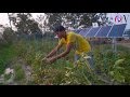 On solar powering nepals agriculture