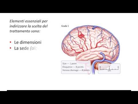 Video: Le Malformazioni Venose Cutaneo-mucose Facciali Possono Svilupparsi Indipendentemente Dalla Mutazione Del Gene TEK Ma Possono Essere Associate A Un'eccessiva Espressione Di Sr