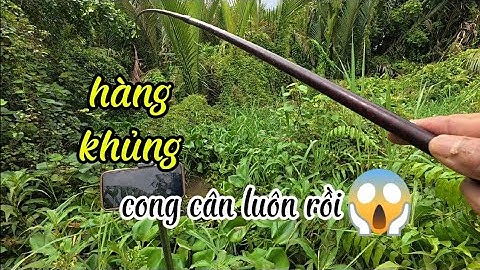 CÂU CÁ RÔ ĐỒNG,ViDeO Hiếm Hoi Nhất Vào Thời Điểm Này Luôn Á.Trung Miền Tây.T317
