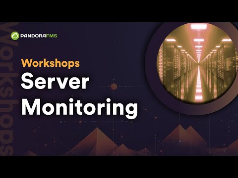 Workshop Server Monitoring (eng)