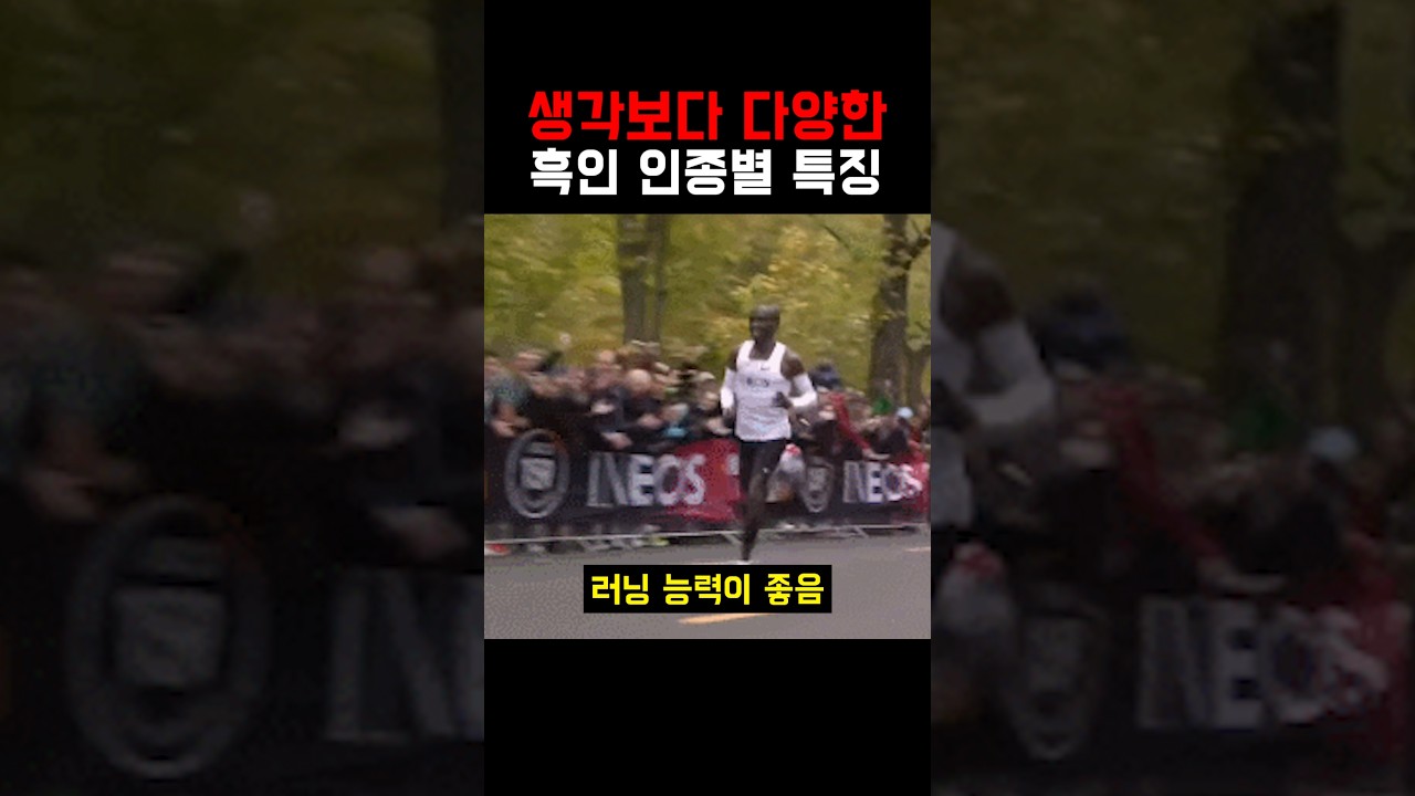 사람들이 잘 모르는 흑인 인종별 특징