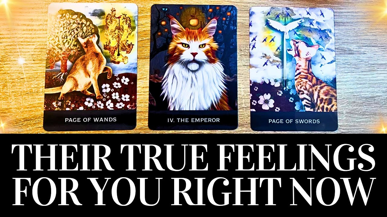 PICK A CARD💓😍 Their TRUE FEELINGS For You RIGHT NOW! 😍💓 They want you ...