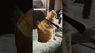 9999999999