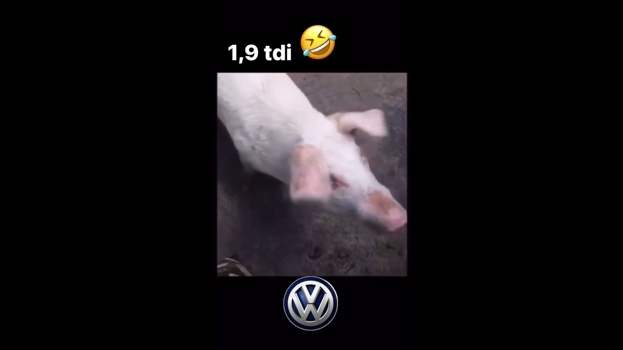 Golf 5 зажигалка - Регулировка УОВ (угла опережения впрыска) на 1.9TDI с насос-форсунками