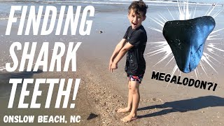 HOW TO FIND SHARK TEETH | Megalodon tooth hunting | Onslow Beach, NC opening after 1 month closure |
