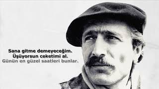 Özdemir Asaf - Lavinia