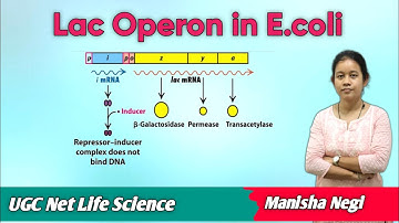 Lac Operon mutation and expression in merozygote | Manisha Negi | avyan ias academy