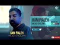Milad Gholami Ham Pialeh OFFICIAL AUDIO TRACK میلاد غلامی هم پیاله 