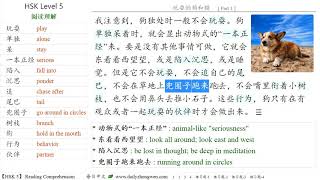 Learn Chinese -【HSK level 5】 Reading Comprehension 玩耍的狗和猫