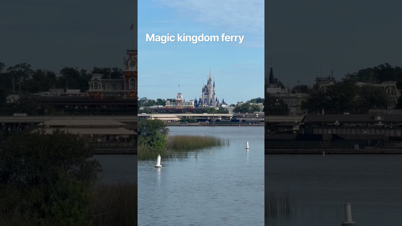 #disney #magickingdom #cruise #disneycastle #mainstreet #disneyworld