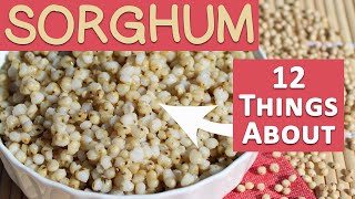 Sorghum 101, Try This Instead of Rice!