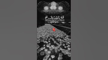تلاوة من سورة المائدة -القارئ عبد الرحمن مسعد. #quran #القرآن_الكريم #القران