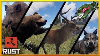 Rust Whats Coming New Animal Models & Animations On Staging, 1St Part Of New Ai System