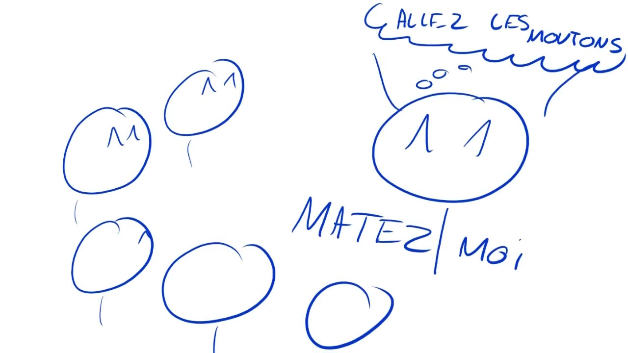 Qui cherche vraiment à attirer l'attention ? - PsykoCouac