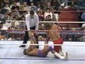 Rick the model martel vs rocker marty jannetty at survivor series showdown 1990