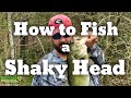 How to fish a Shaky Head Worm - Bass Fishing