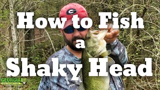 How to fish a Shaky Head Worm - Bass Fishing