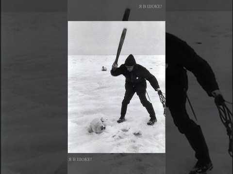 Душераздирающие фото прошлого века... #shorts #photo