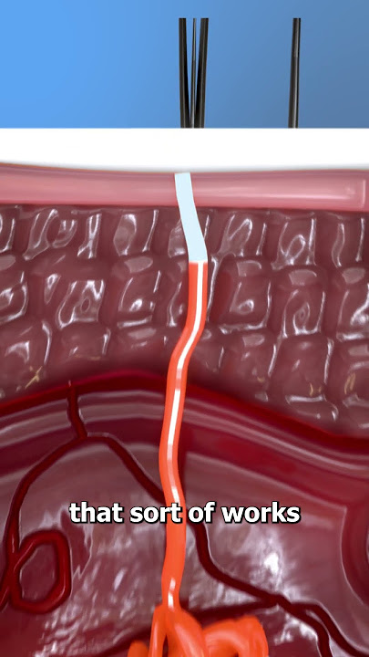 Download lagu How Antiperspirants Keep You Dry 🤔