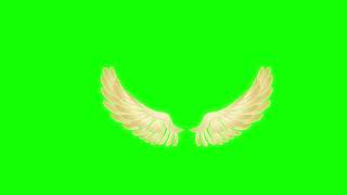 Green Screen Animated Wings | Free Download