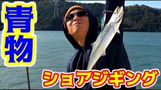 アジがいない！予定変更ショアジギング！！！