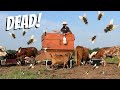 HOW THIS COWBOY BEAT THE FLIES!